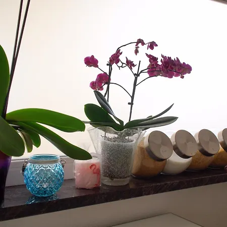 Apartmán Yacht Marina *